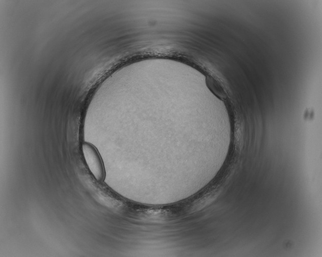 X0000111220493200907231444