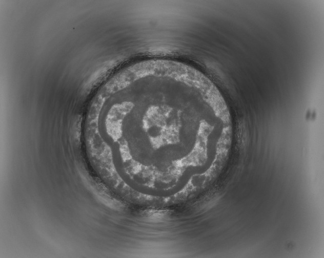 X0000111220495200907231444