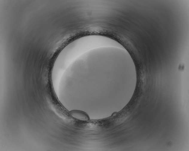 X0000111220496200907231444