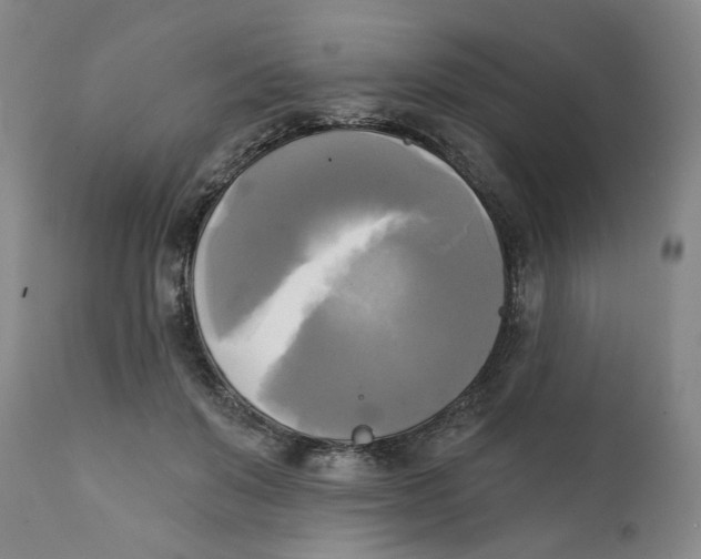 X0000111220503200907231444
