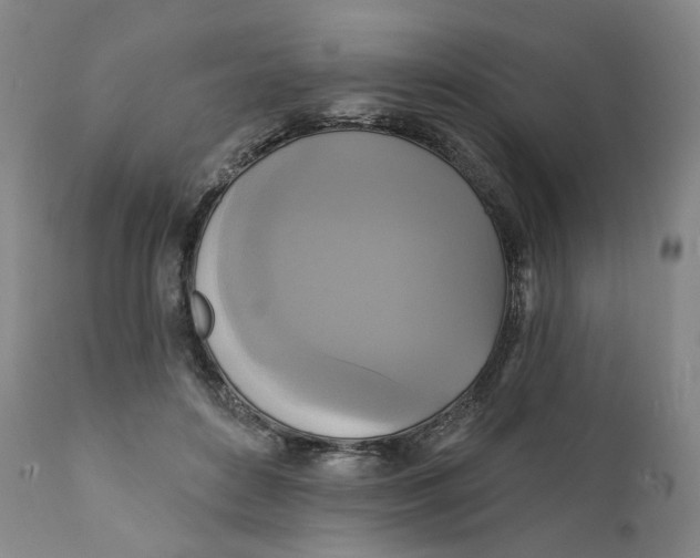 X0000111220504200907231444