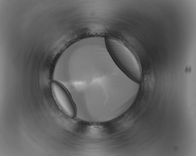 X0000111220508200907231444