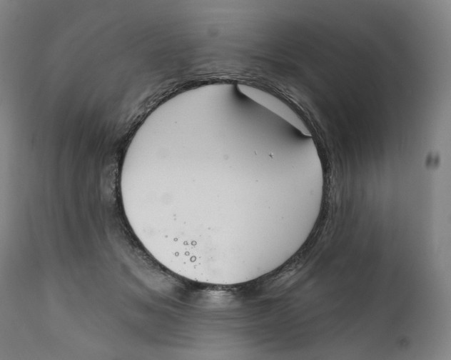 X0000111220509200907231444