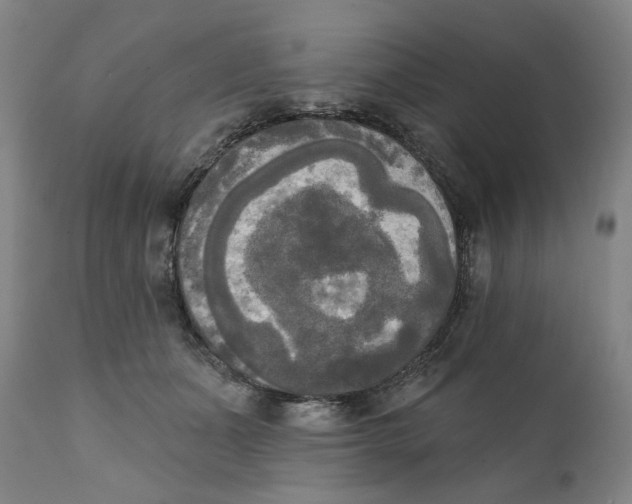 X0000111220511200907231444