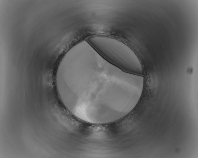 X0000111220512200907231444