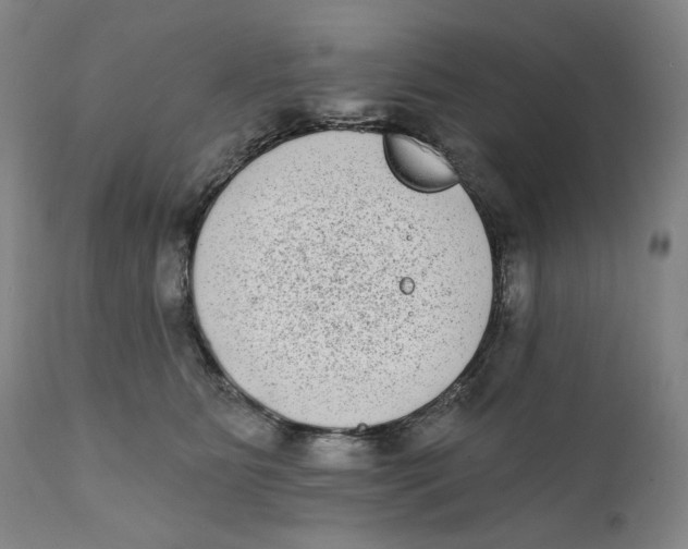 X0000111220515200907231444