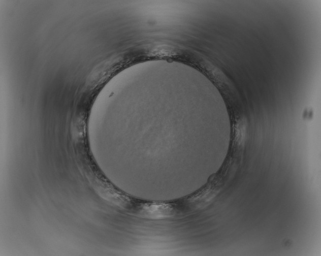 X0000111220517200907231444