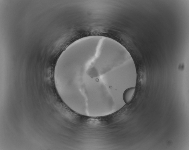 X0000111220519200907231443