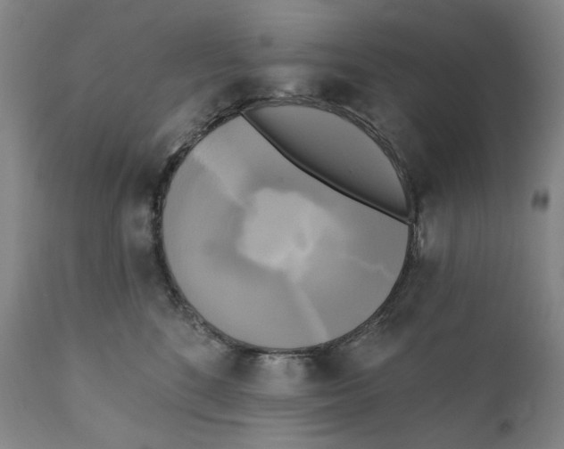 X0000111220520200907231443