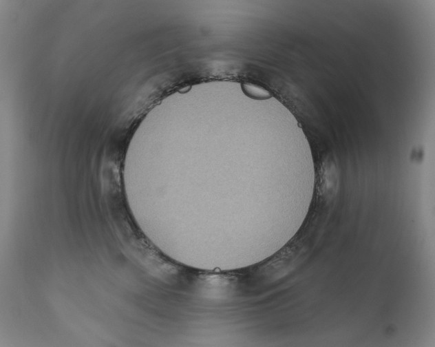 X0000111220522200907231443