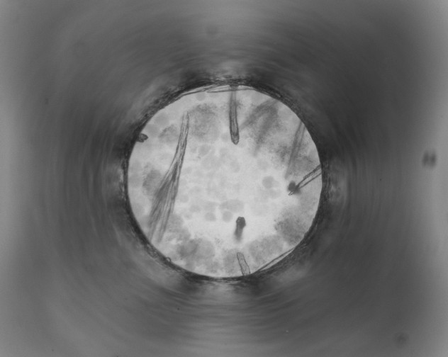 X0000111220523200907231443