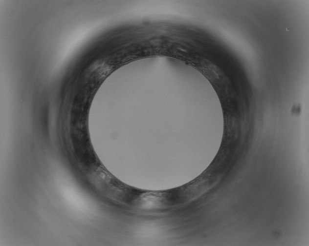 X0000111220526200907231443