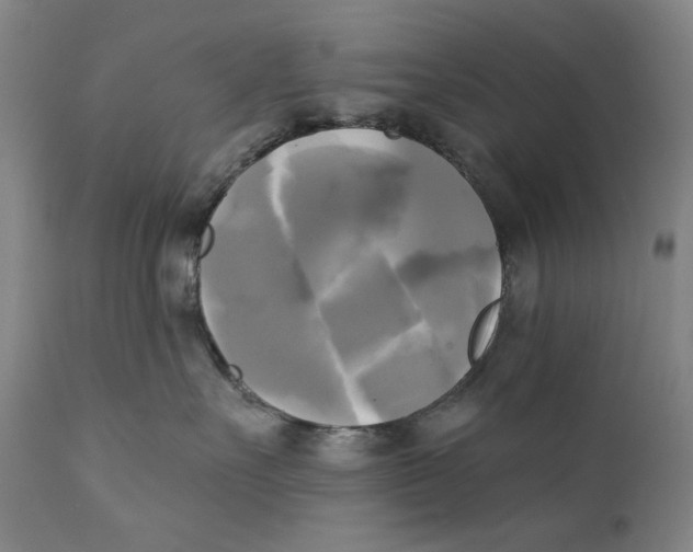 X0000111220527200907231443