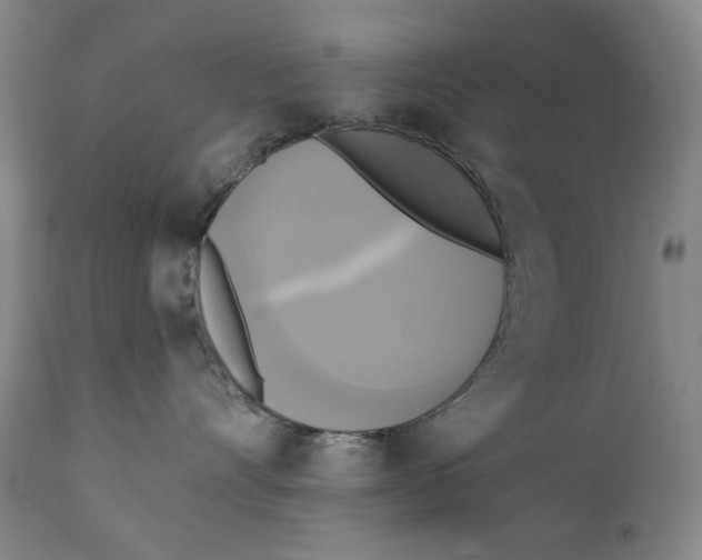 X0000111220528200907231443