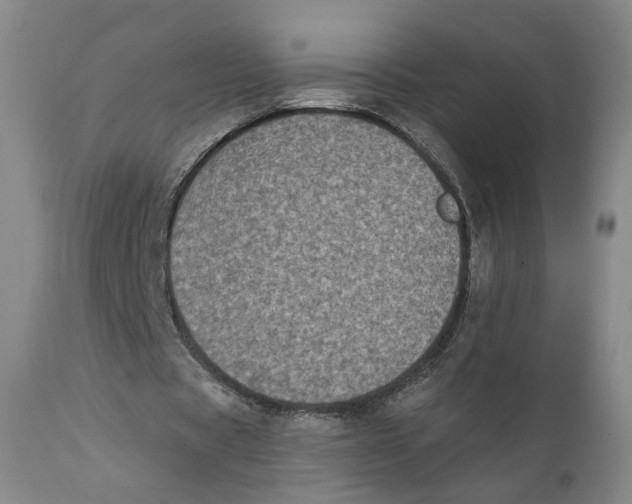 X0000111220529200907231443
