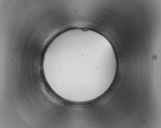 X0000111220530200907231443