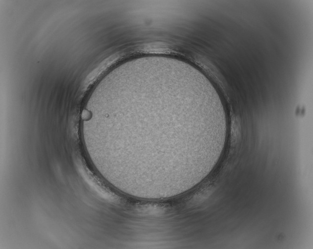 X0000111220533200907231443