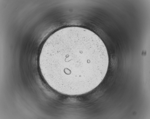 X0000111220534200907231443