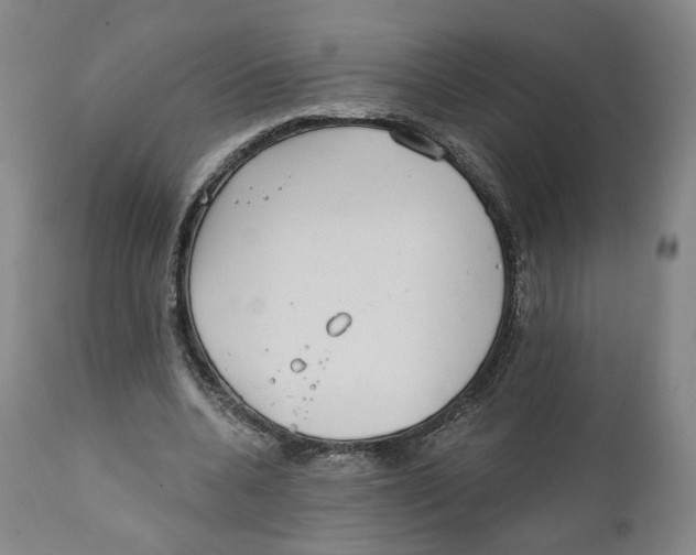 X0000111220536200907231443