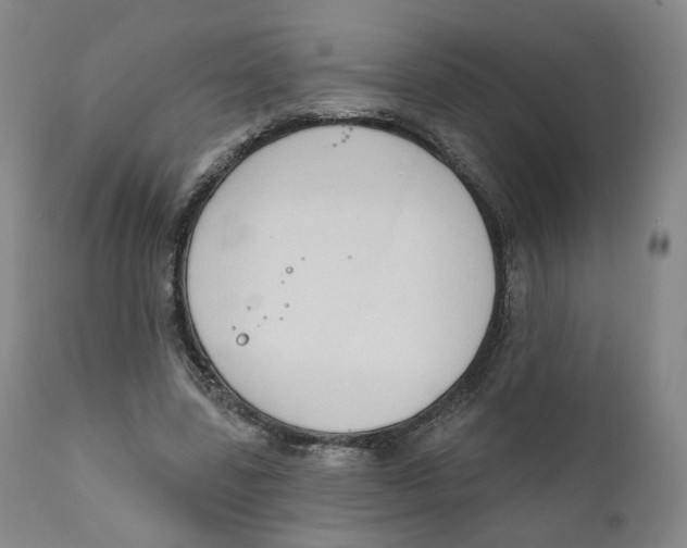 X0000111220539200907231443