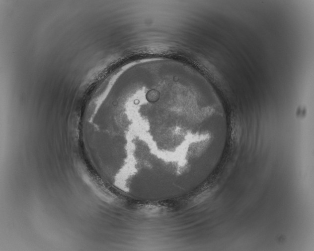 X0000111220542200907231443