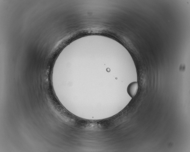 X0000111220543200907231443