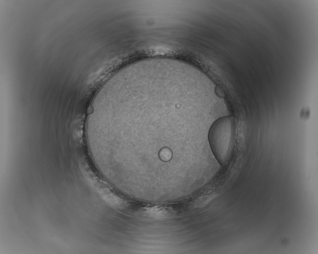 X0000111220545200907231443