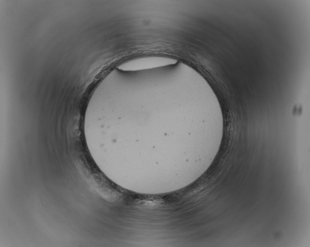 X0000111220548200907231443
