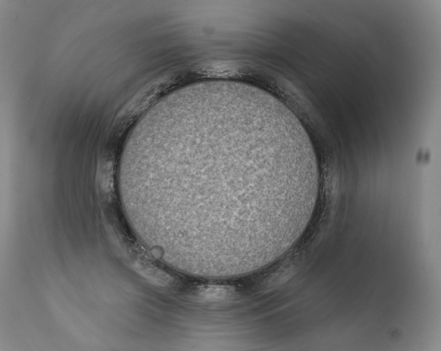 X0000111220549200907231443