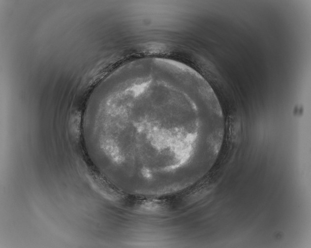 X0000111220550200907231443