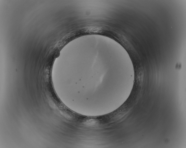 X0000111220551200907231443