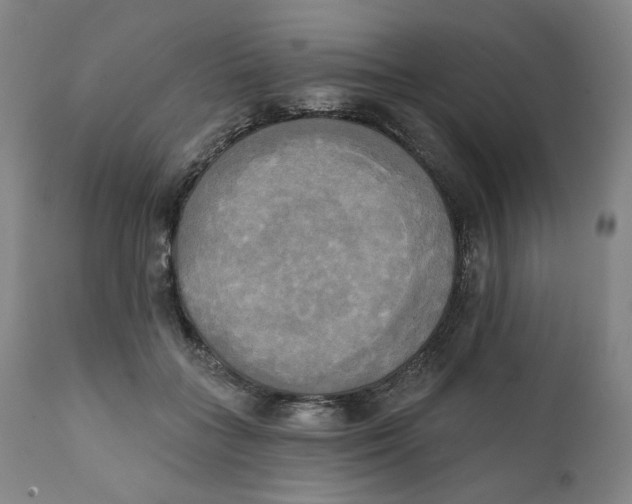 X0000111220555200907231443