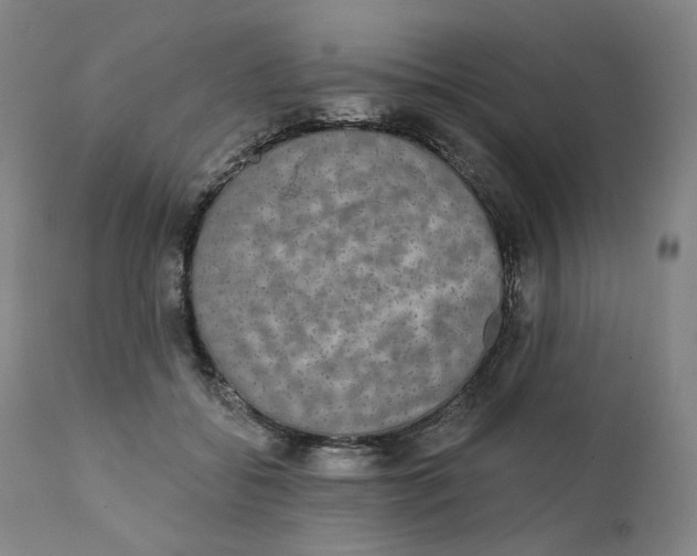 X0000111220556200907231443