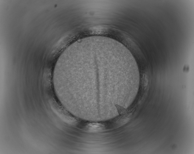 X0000111220557200907231443