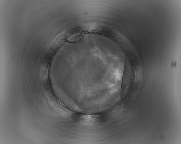 X0000111220558200907231443