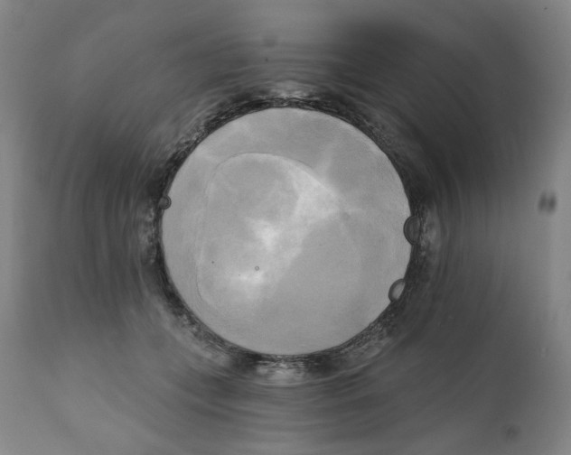 X0000111220559200907231443