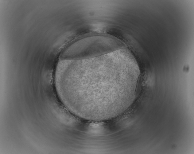 X0000111220560200907231443