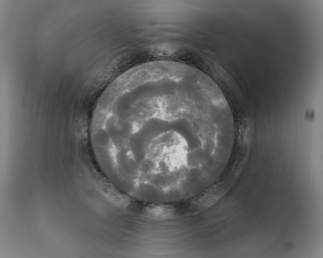 X0000111220561200907231443