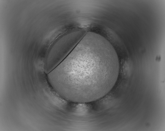 X0000111220562200907231443