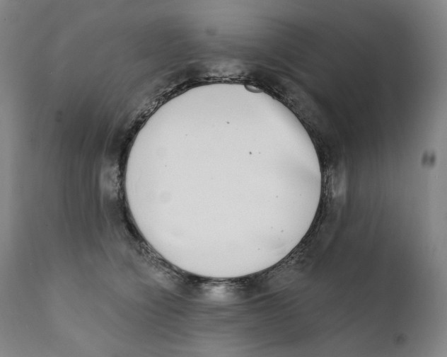X0000111220564200907231443