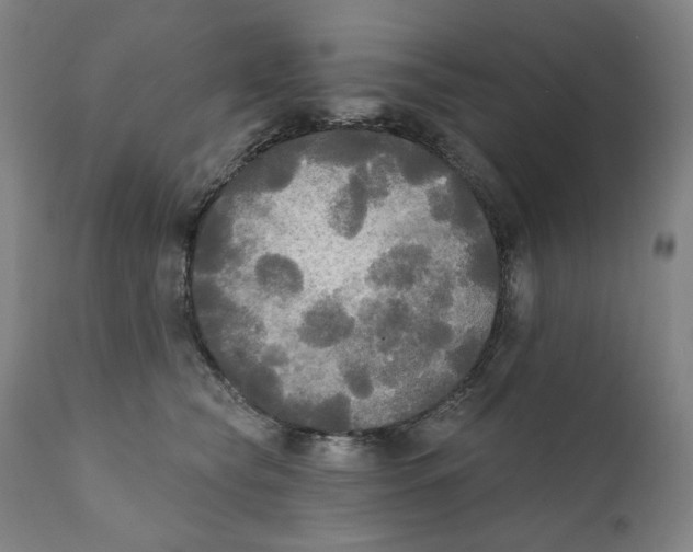 X0000111220565200907231443
