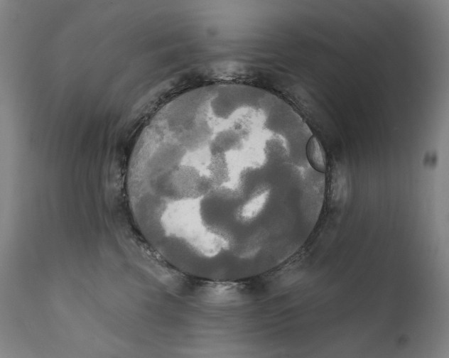 X0000111220569200907231443
