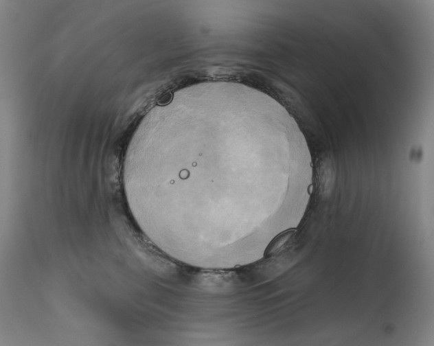 X0000111220571200907231443