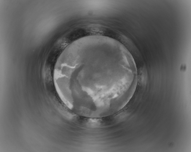 X0000111220573200907231443