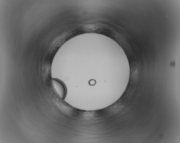 X0000111220574200907231443