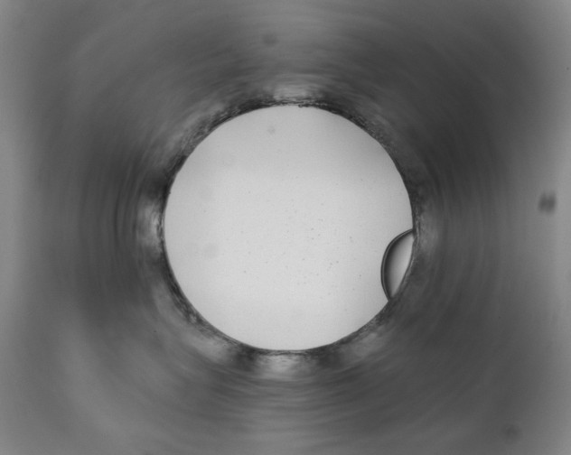 X0000111220575200907231443