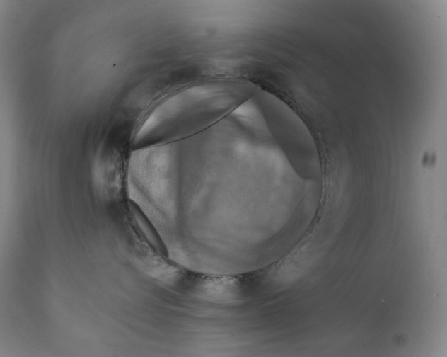 X0000111220576200907231443