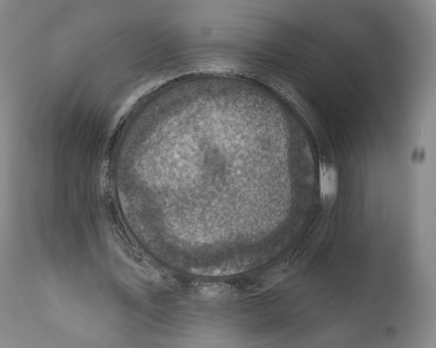 X0000111220579200907231443