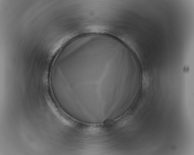 X0000111220581200907231443