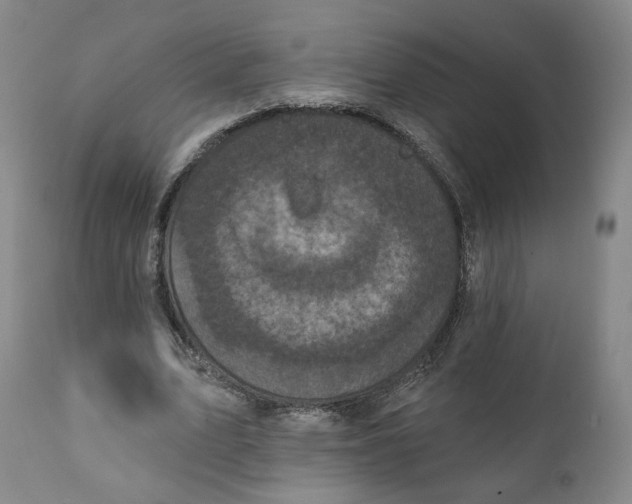 X0000111220583200907231443